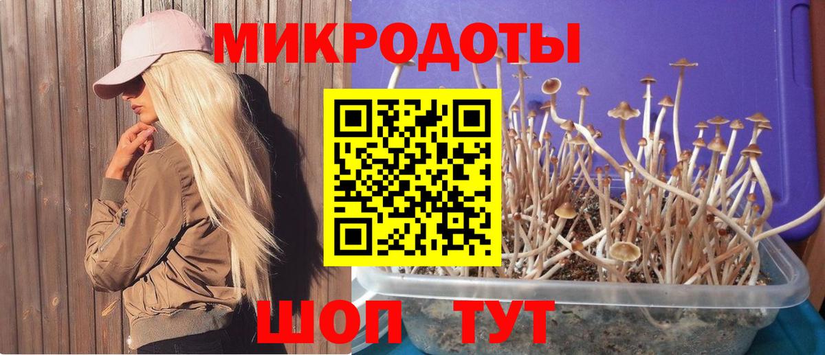 Псилоцибиновые грибы Psilocybine cubensis Алушта