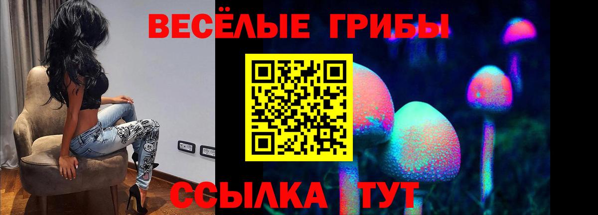Алушта  Псилоцибиновые грибы мицелий  Псилоцибиновые грибы мицелий  Вход с VPN 